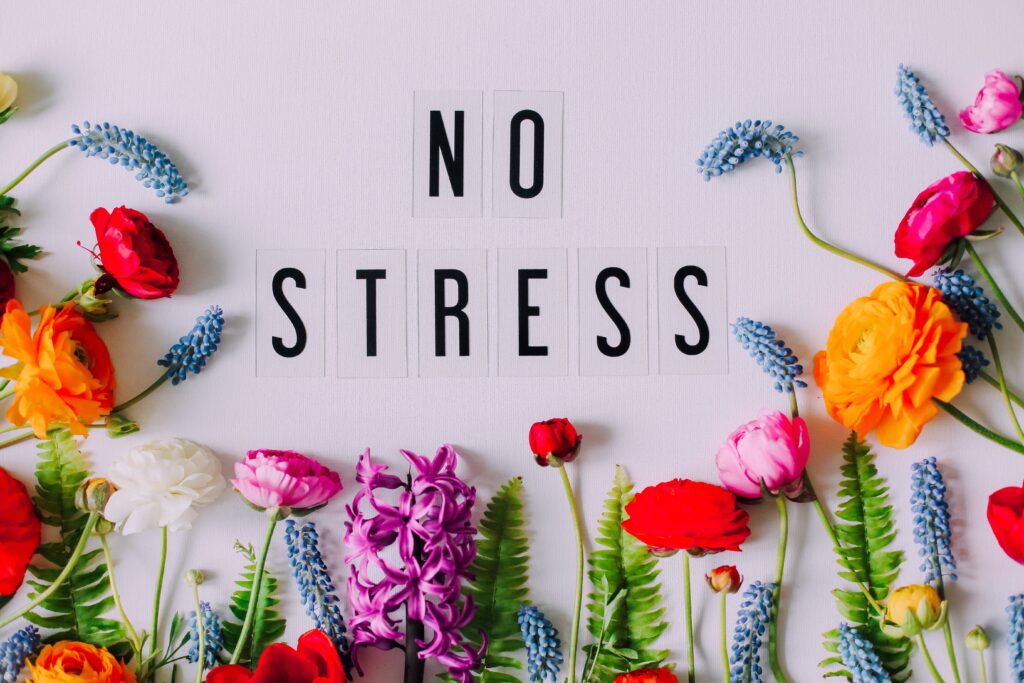 no-stress-2025-01-09-07-41-28-utc